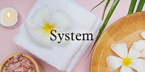 システム